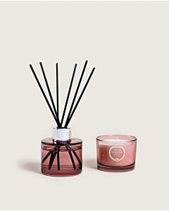 Maison Berger Agaves Garden Mini Bouquet & Candle Duo